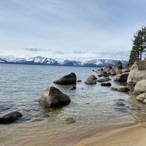 Meet your Posher, Jeanine